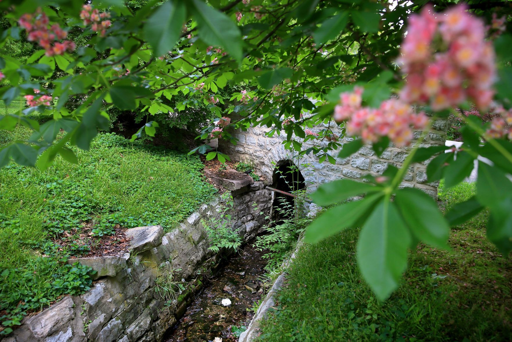 Buried stream in Tower Grove Park to be uncovered